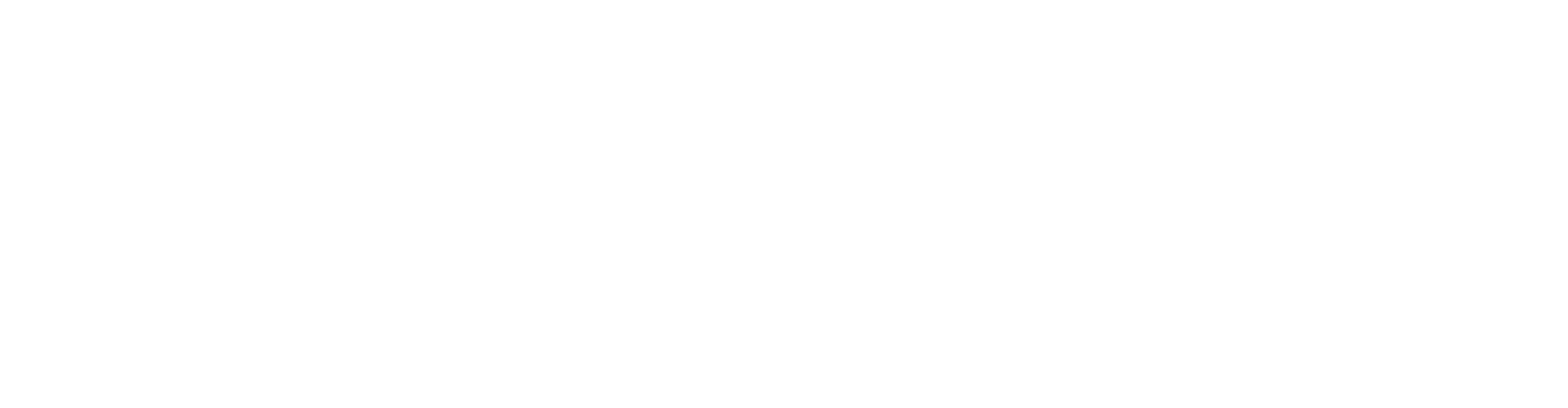 Ram Bikes