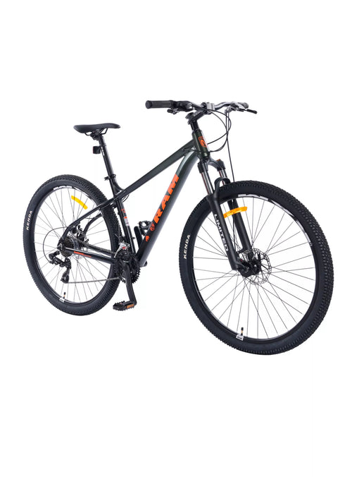 Bicicleta MTB Limited Aro 29" Verde